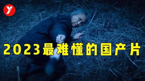 你懂的国产视频,光影交织下的时代印记 第3张 你懂的国产视频,光影交织下的时代印记 第3张